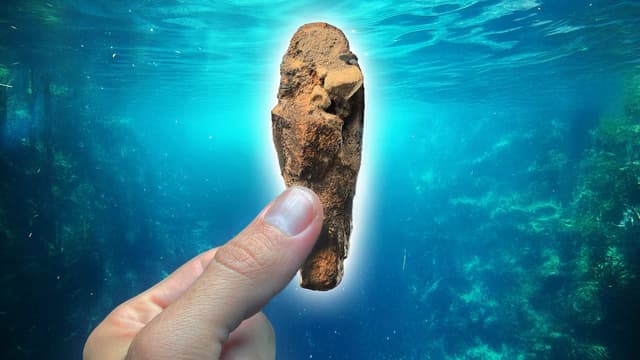 S01:E08 - Mexico's Finest