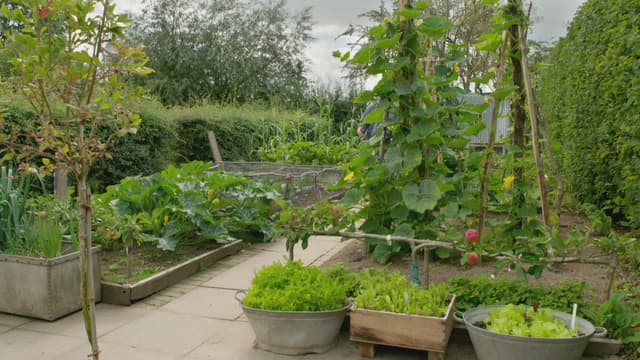 S07:E17 - Episode 17