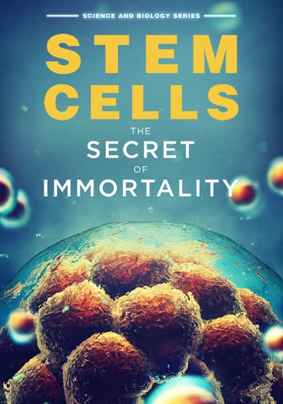 Stem Cells: The Secret to Immortality