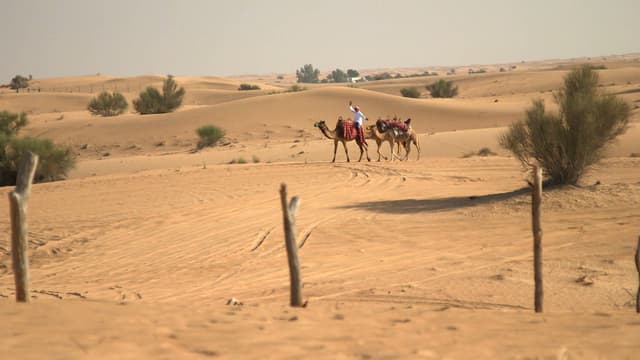 S01:E10 - Dubai