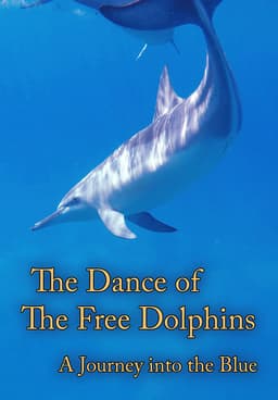 その他 Dancing With Dolphins [DVD] Poster two dolphins dancing in the pool – Wall Art | UkPosters