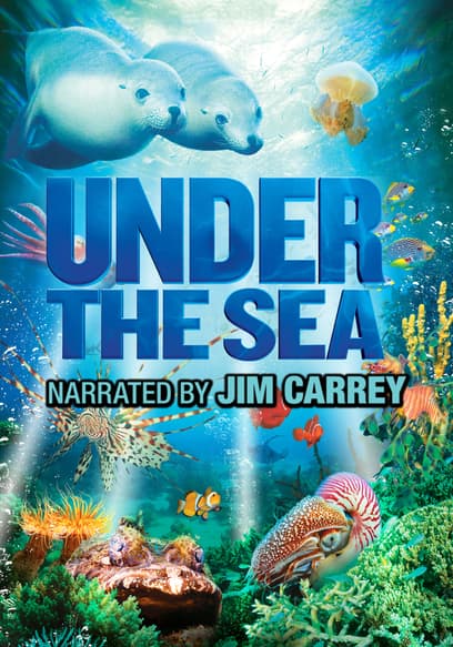 Under the Sea