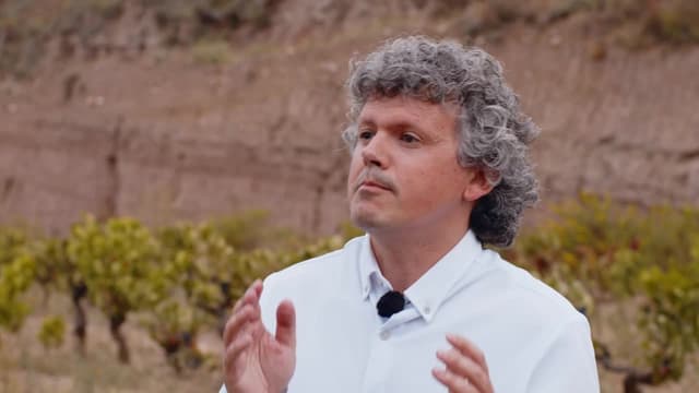 S01:E03 - Is Malolactic Fermentation Necessary for the Long Aging of Wines?