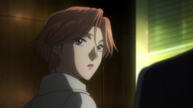 Watch Ryoko's Case File S01:E07 - Okinawa, Gods' Island - Free TV Shows ...