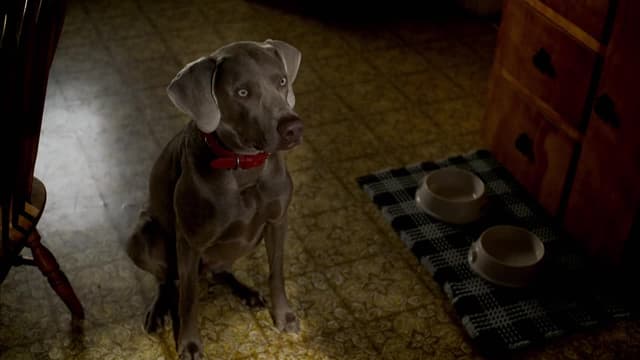 S01:E02 - Master of the House