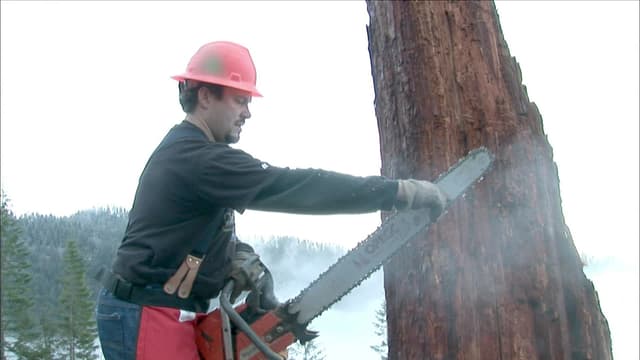 S01:E10 - Black Friday