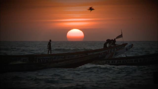 S11:E30 - Gambia