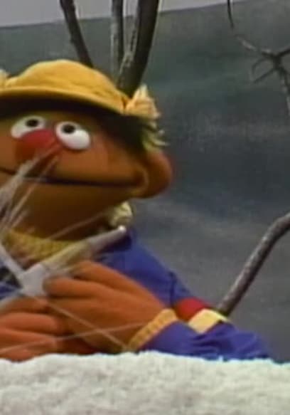 S18:E05 - Another Cold Day on Sesame Street poster
