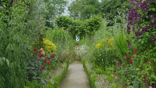 S07:E15 - Episode 15