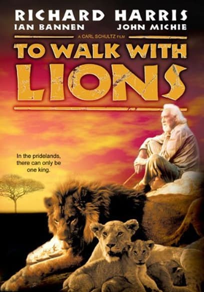 To Walk With Lions