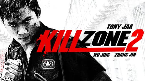 Martial Arts Spl Full Movie Download In English Watch Kill Zone (English  Dub) (2015) Free Movies
