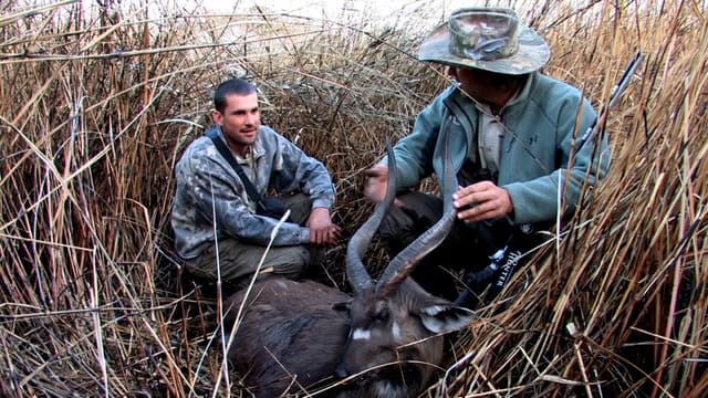 S08:E07 - The Swamp Dwelling Zambezi Sitatunga