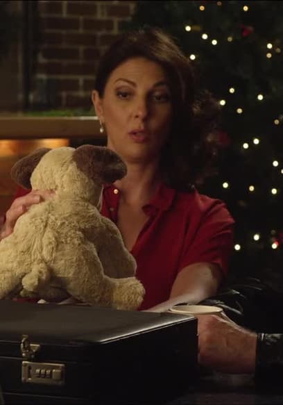 S05:E14 - The Toy  Job poster