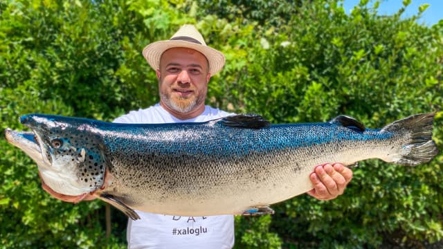 S01:E13 - Giant Atlantic Salmon