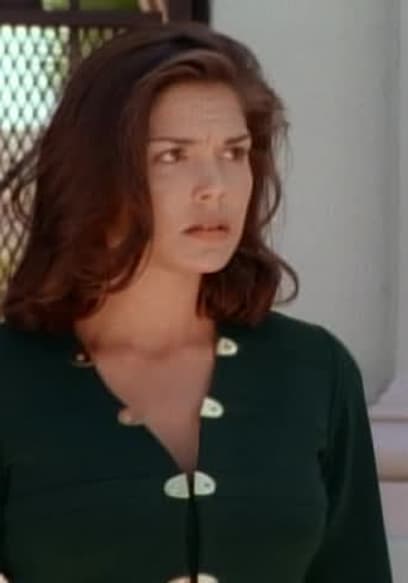 Watch Renegade S02:E06 - The Rabbit and the Fox - Free TV Shows | Tubi