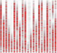 Killing Your Daughter