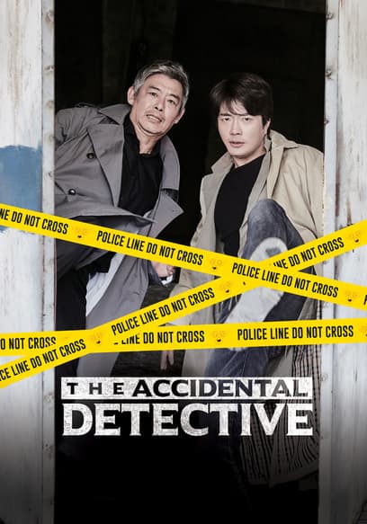 The Accidental Detective