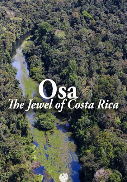 OSA: The Jewel of Costa Rica poster