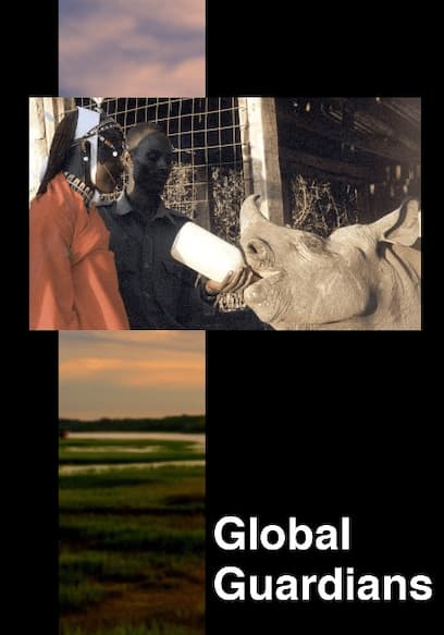 Global Guardians