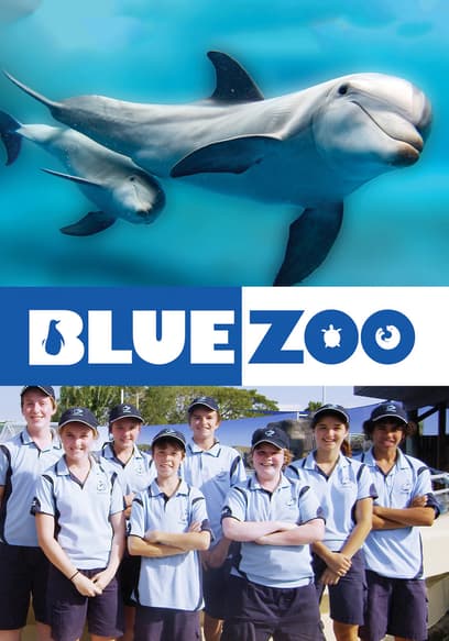 Blue Zoo