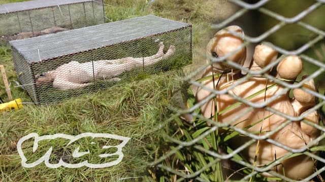 S01:E01 - Decomposing Bodies to Solve Cold Case Murders