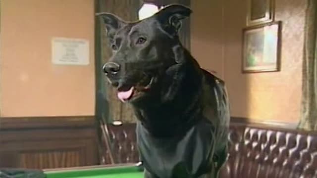 S01:E12 - Episode 12