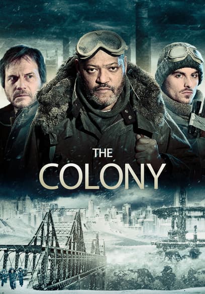 The Colony