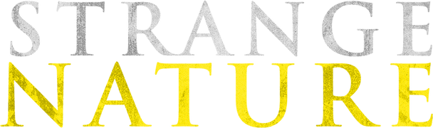 Strange Nature