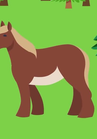 S01:E09 - Why Don't We Ride Zebras? / Why Does Your Dog Do This? poster