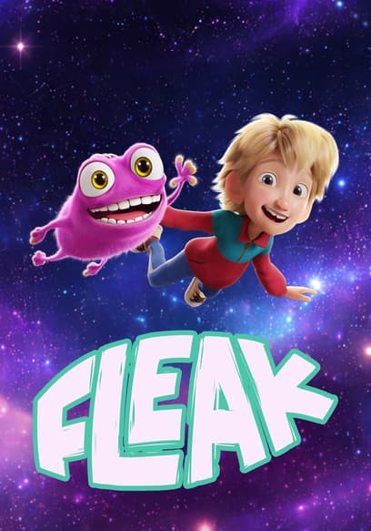 Fleak poster