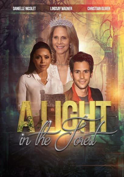 A Light In The Forest poster