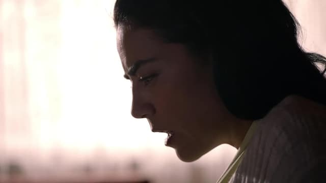 S01:E02 - Gato Por Liebre