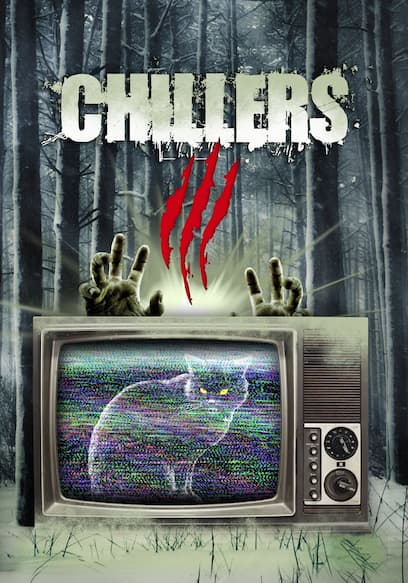 Chillers 3