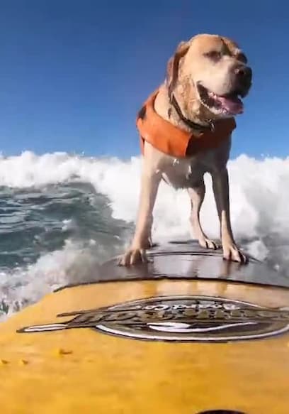 Watch The World's Funniest Weather S03:E07 - Blame It on the Rai / Slip ...