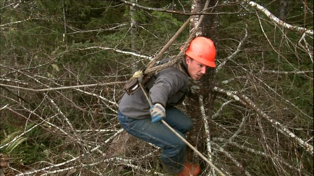 S01:E03 - Storm Season Strikes