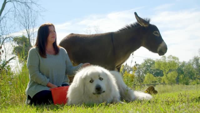 S01:E09 - A Pack of Misfits