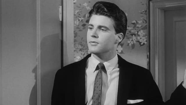 S09:E14 - Rick Counts the Ballots