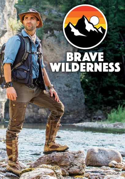 Brave Wilderness