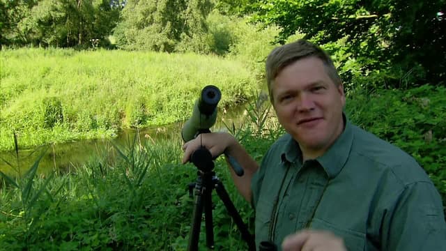 S02:E10 - The Best of Wild Britain