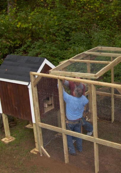 S14:E16 - Chicken Coop, Maple Syrup poster