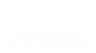 Bride of Re-Animator