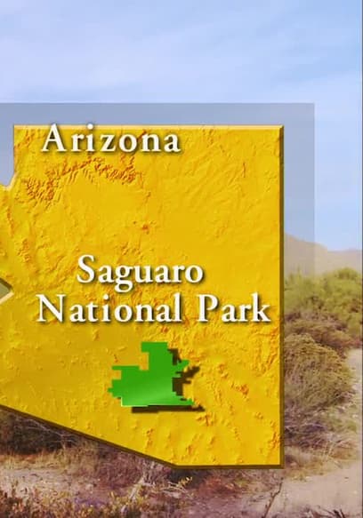S01:E48 - Saguaro National Park poster
