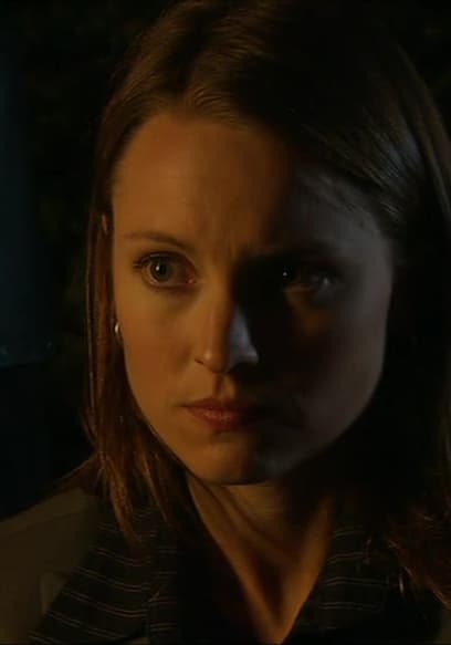 S13:E11 - Mirror Image poster
