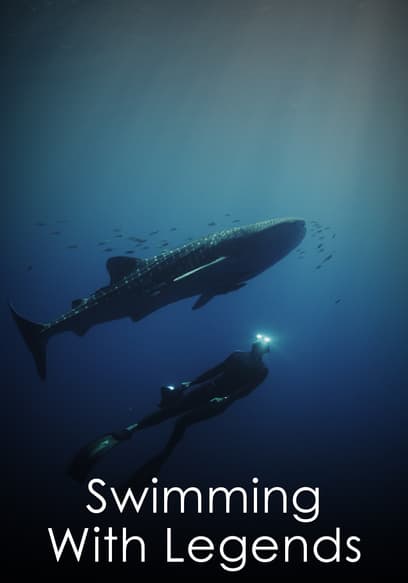 Swimming With Legends