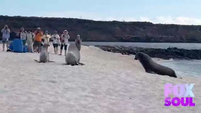S01:E03 - TWB's Adventure to the Galapagos Islands