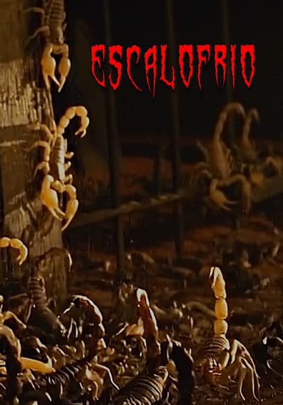Escalofrío poster
