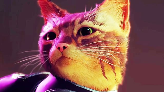 S26:E05 - Stray (Pt. 2)