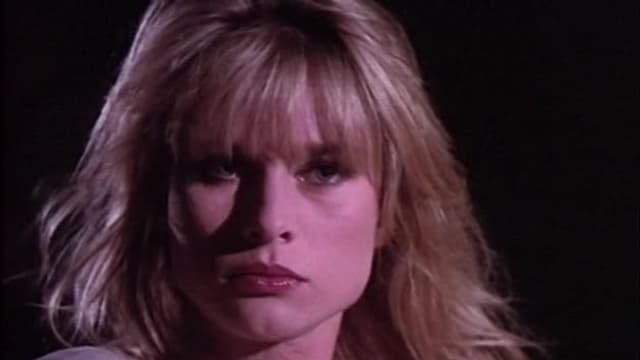 S09:E29 - The Perfect Crime