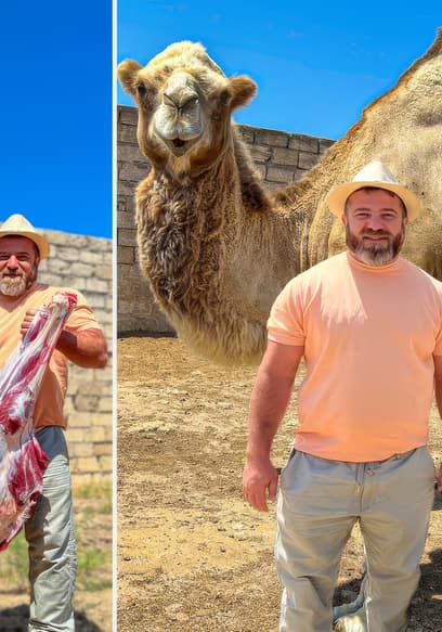 Póster de S01:E02 - A Whole 700kg Camel