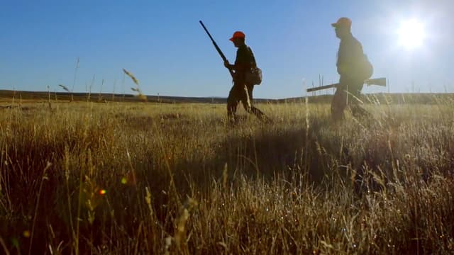 S07:E05 - Wyoming Sage Grouse